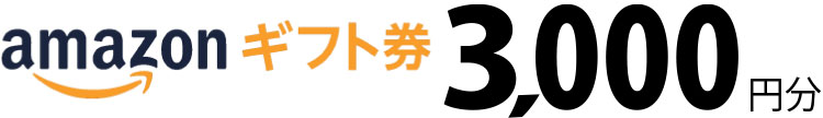 本登録が確認できたらamazonギフト券 3,000円プレゼント